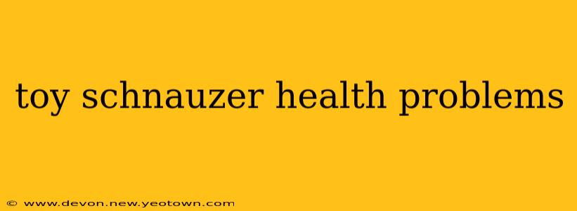 toy schnauzer health problems