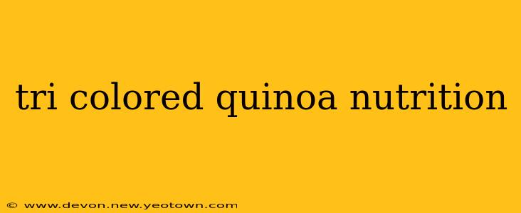 tri colored quinoa nutrition