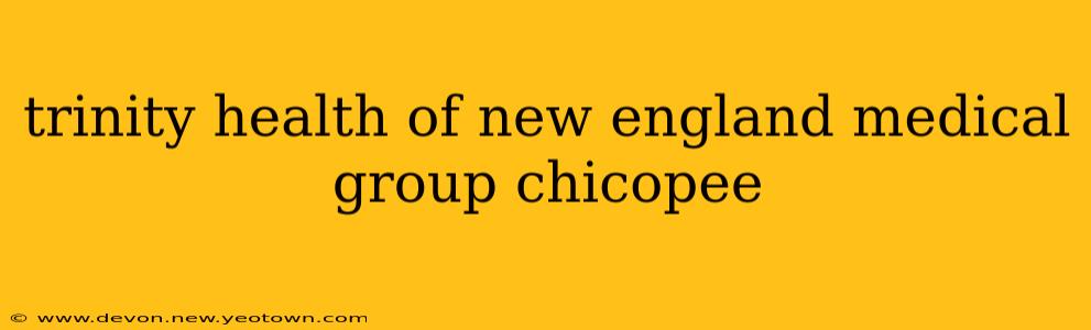 trinity health of new england medical group chicopee
