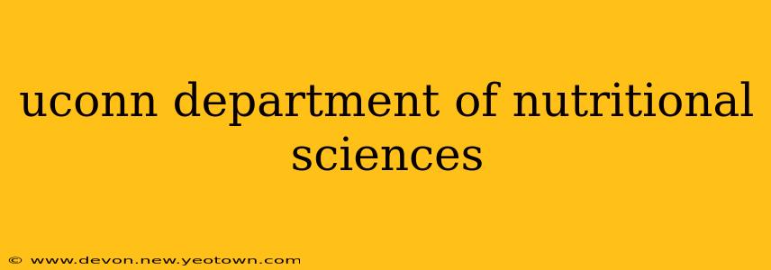 uconn department of nutritional sciences
