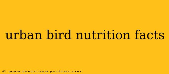 urban bird nutrition facts