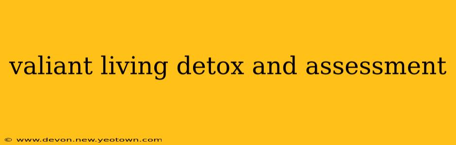 valiant living detox and assessment