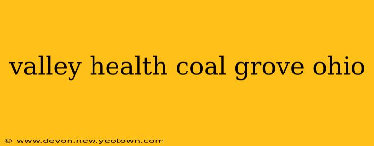 valley health coal grove ohio