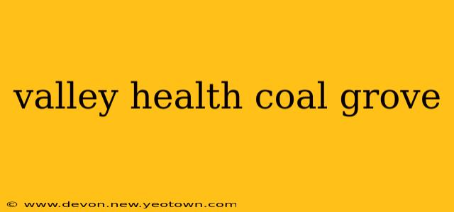 valley health coal grove