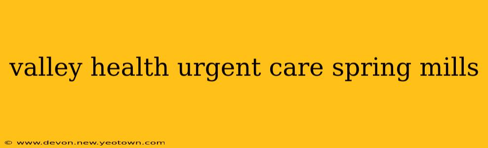 valley health urgent care spring mills