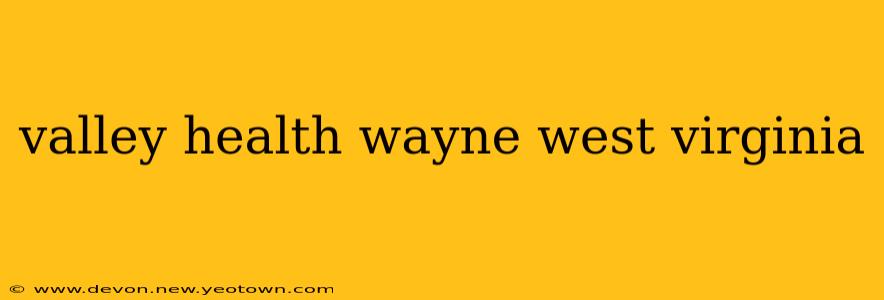 valley health wayne west virginia