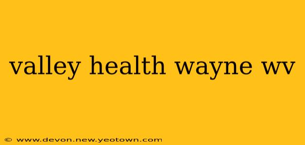 valley health wayne wv