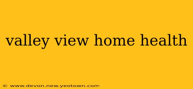 valley view home health