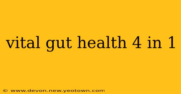 vital gut health 4 in 1