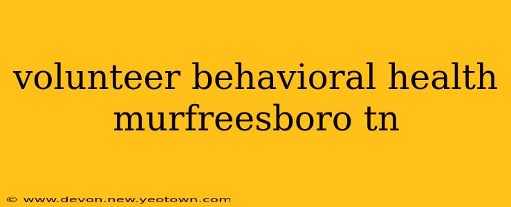 volunteer behavioral health murfreesboro tn