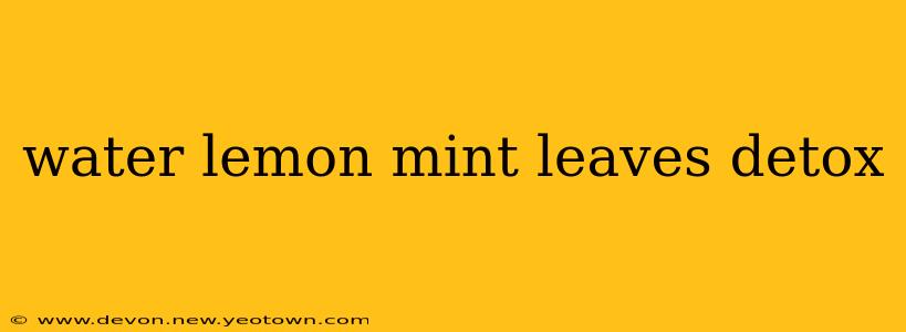 water lemon mint leaves detox