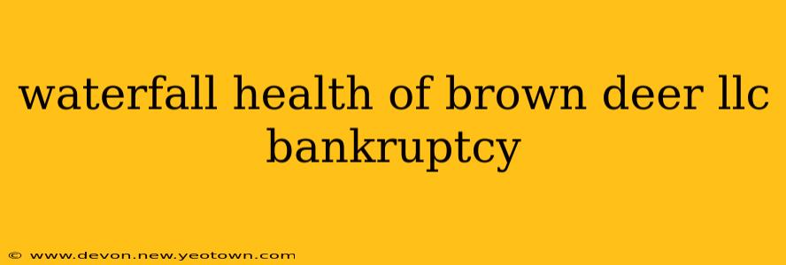 waterfall health of brown deer llc bankruptcy