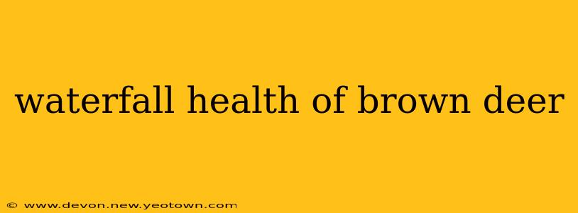 waterfall health of brown deer