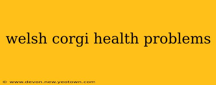 welsh corgi health problems
