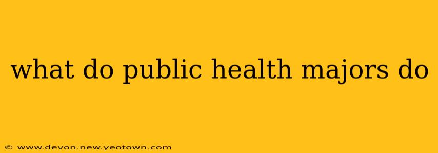 what do public health majors do