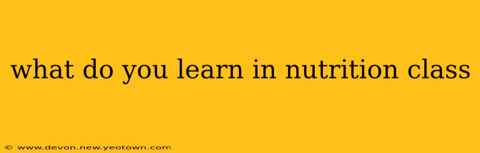 what do you learn in nutrition class