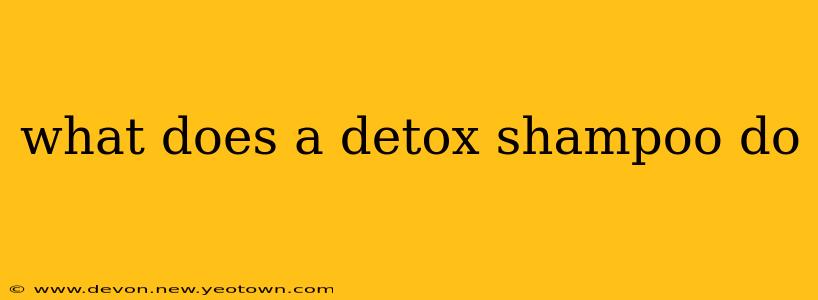 what does a detox shampoo do
