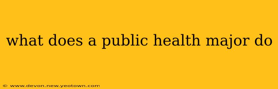 what does a public health major do