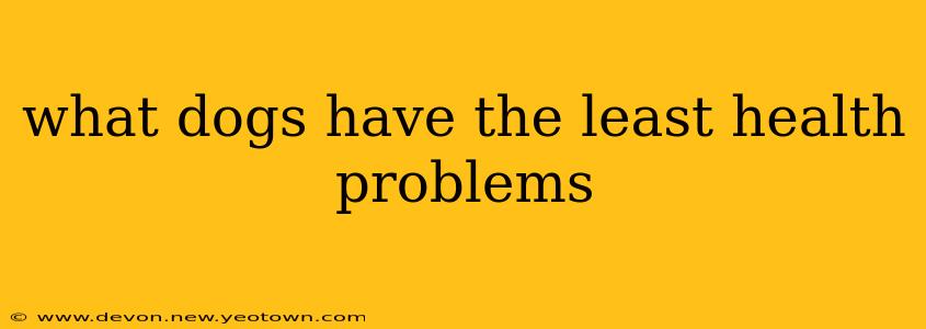what dogs have the least health problems