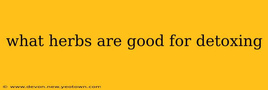 what herbs are good for detoxing