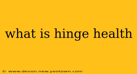 what is hinge health