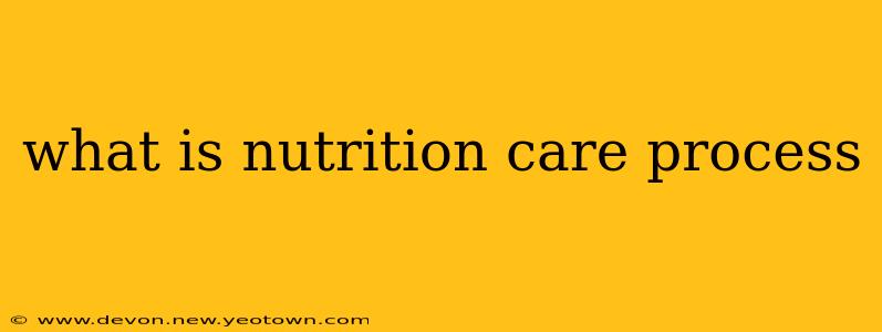 what is nutrition care process