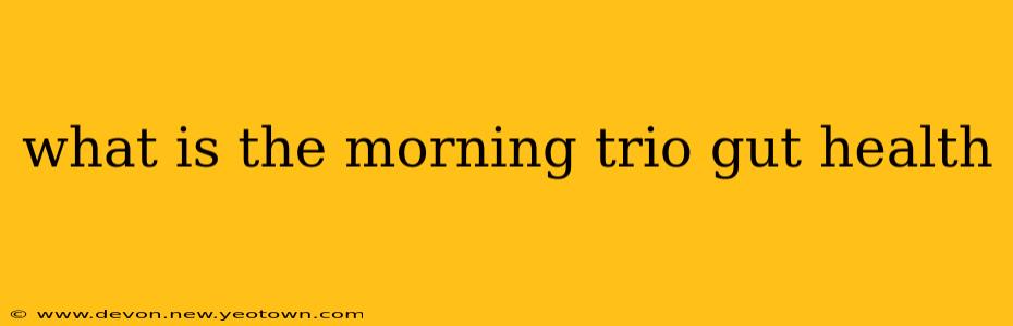 what is the morning trio gut health