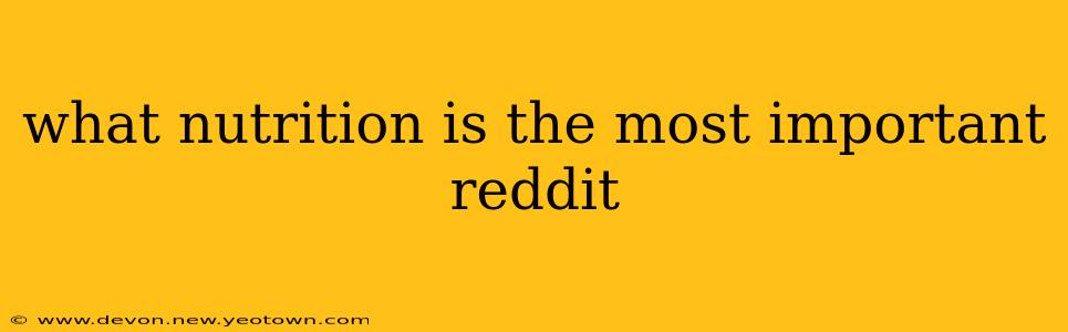 what nutrition is the most important reddit