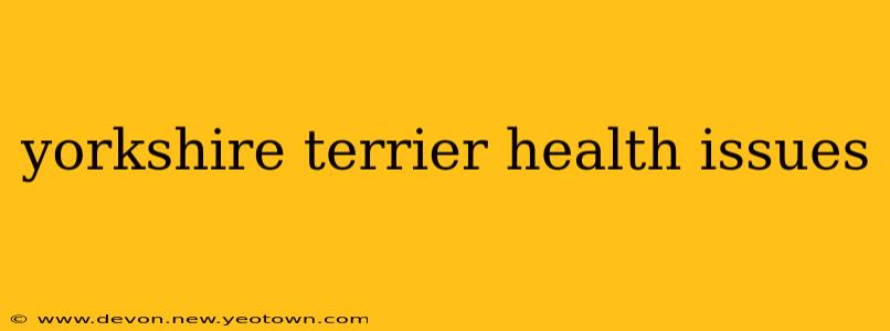 yorkshire terrier health issues